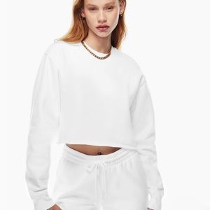 Aritzia TNA cropped sweatshirt